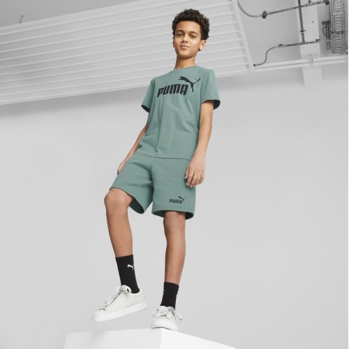 Koszulka młodzieżowa Puma Ess Logo Tee, zielona 586960 84