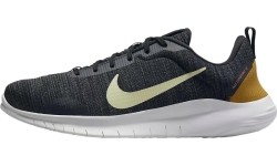 Buty męskie Nike Flex Experience Rn 12 szare DV0740 002