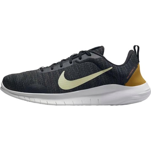 Buty męskie Nike Flex Experience Rn 12 szare DV0740 002