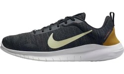 Buty męskie Nike Flex Experience Rn 12 szare DV0740 002
