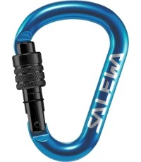 Salewa Carabiner 'HMS G2'