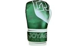 Rękawice do kickboxingu Joya Evolution zielone
