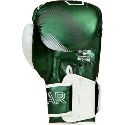 Rękawice do kickboxingu Joya Evolution zielone