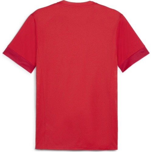 Koszulka męska Puma TeamGoal Matchday Jersey Red 705747 01