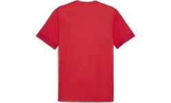 Puma Marškinėliai Vyrams TeamGoal Matchday Jersey Red 705747 01
