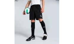 Puma Šortai Vyrams TeamGoal Shorts Black 705752 03