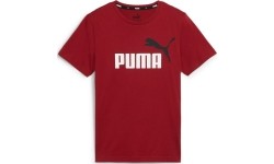 Koszulka młodzieżowa Puma Ess+ 2 Col Logo Tee Bordeaux 586985 14