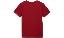 Koszulka młodzieżowa Puma Ess+ 2 Col Logo Tee Bordeaux 586985 14