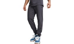 Puma Sportinės Kelnės Vyrams Rad/Cal Pants Galactic Gray 681621 69