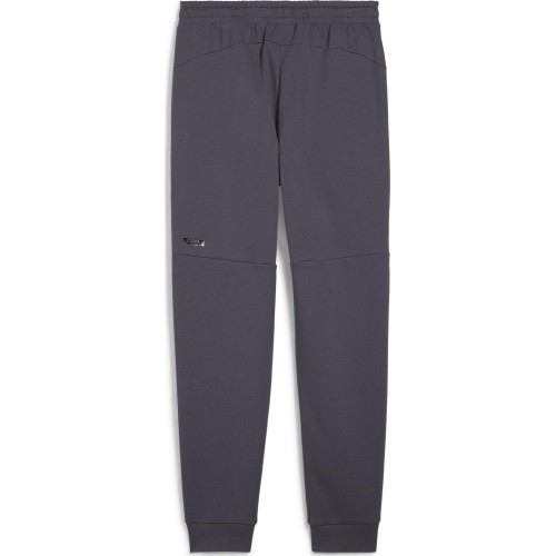 Puma Sportinės Kelnės Vyrams Rad/Cal Pants Galactic Gray 681621 69