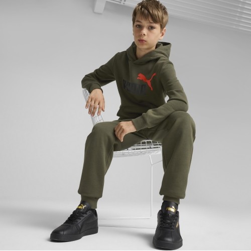 Spodnie młodzieżowe Puma Ess + 2 Col Logo Pants Fl khaki 586988 77
