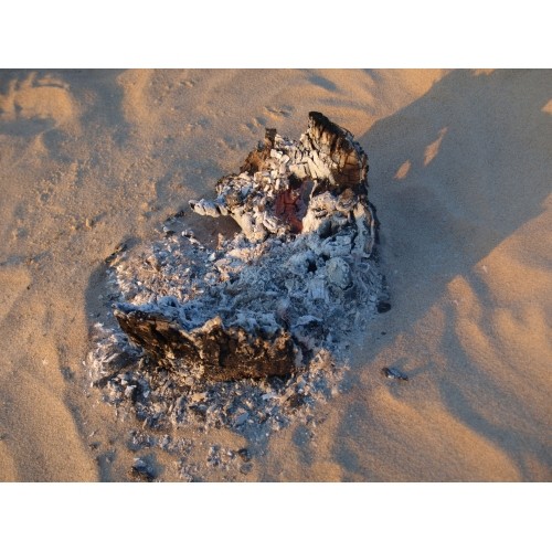 Origin Outdoors Grill "Woodie