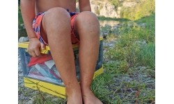 Składane pudełko Origin Outdoors „Organizer“