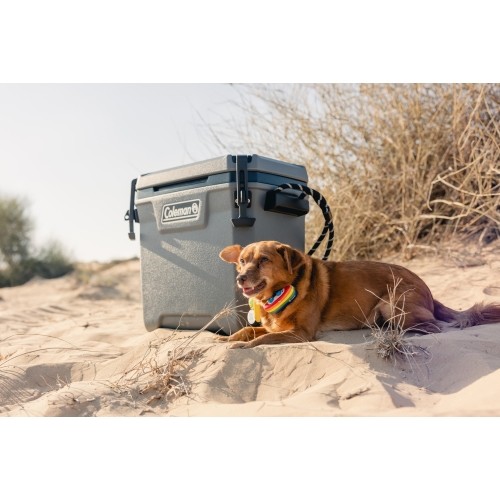 Coleman Pojemnik na lód 'Convoy' 28qt