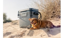 Coleman Pojemnik na lód 'Convoy' 28qt