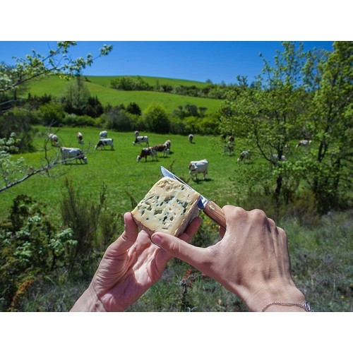 Baladeo Scyzoryk 'Terroir