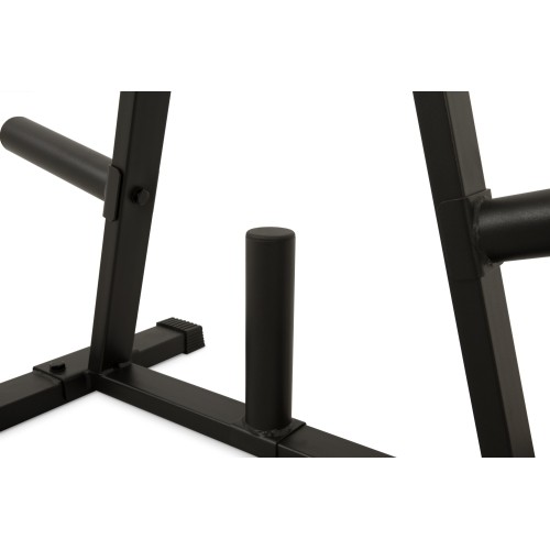 Newton Fitness PR-02 Plate Tree
