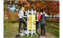 Stepper treningowy D21