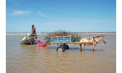 Podwójny hamak ogrodowy Amazonas Barbados Grenadine, Dla 2 osób