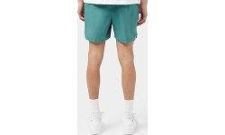 Szorty kąpielowe męskie Nike 5" Volley Short Green NESSA560 302