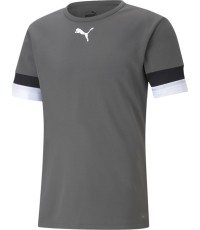 Koszulka piłkarska męska Puma TeamRise Jersey, szara, 704932 13
