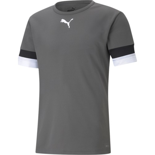 Koszulka piłkarska męska Puma TeamRise Jersey, szara, 704932 13