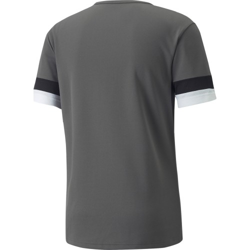 Koszulka piłkarska męska Puma TeamRise Jersey, szara, 704932 13
