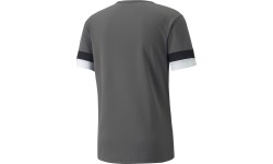 Koszulka piłkarska męska Puma TeamRise Jersey, szara, 704932 13