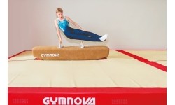 Niski koń gimnastyczny, wysokość 50 cm