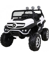 Mercedes BENZ UNIMOG