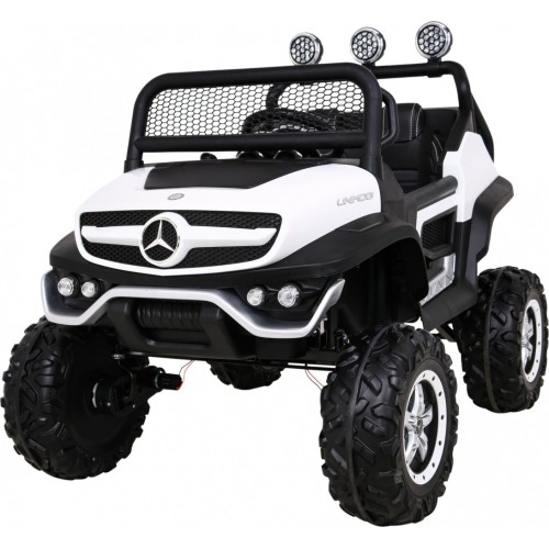 Mercedes BENZ UNIMOG