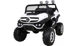 Mercedes BENZ UNIMOG