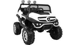 Mercedes BENZ UNIMOG