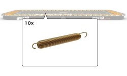 TwinSpring Pro (10x)