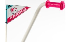 Rower Karbon Mimi 14 pink-blue