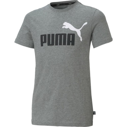 Koszulka młodzieżowa Puma Ess+ 2 Col Logo Tee, szara 586985 03