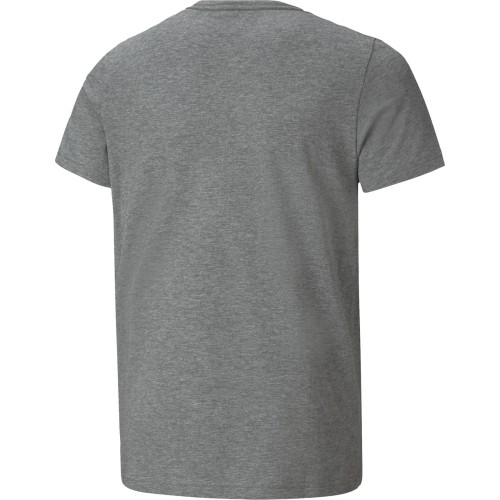 Koszulka młodzieżowa Puma Ess+ 2 Col Logo Tee, szara 586985 03