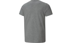 Koszulka młodzieżowa Puma Ess+ 2 Col Logo Tee, szara 586985 03
