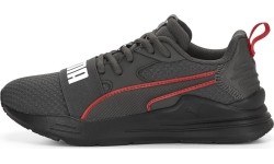 Buty młodzieżowe Puma Wired Run Pure Jr szare 390847 04
