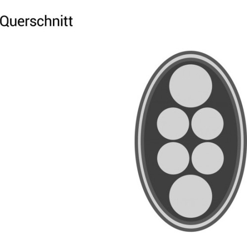 Twardy futerał na kije bilardowe, Predator Roadline, czarno-biały, 2x4