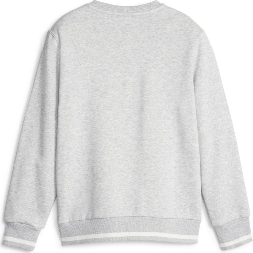 Puma bluza młodzieżowa Squad Crew Fl Grey 676355 04