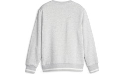 Puma bluza młodzieżowa Squad Crew Fl Grey 676355 04