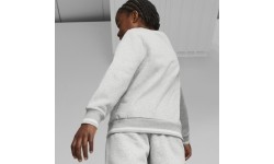 Puma Džemperis Paaugliams Squad Crew Fl Grey 676355 04