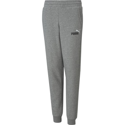 Spodnie sportowe Puma Ess+ 2 Col Logo dla młodzieży, szare 586988 03