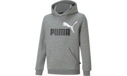 Puma Džemperis Paaugliams Ess + 2 Col Big Logo Grey 586987 03