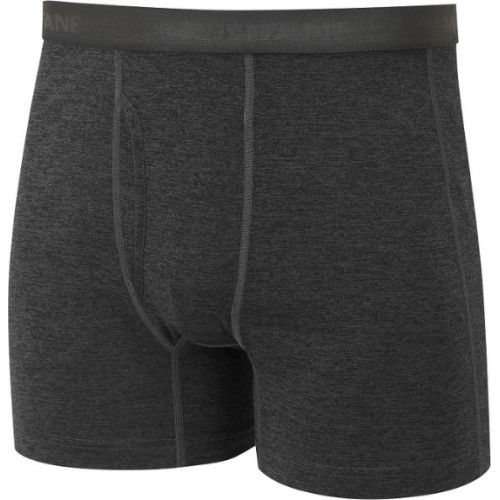 Szorty męskie Montane Dart Boxers - Pilka