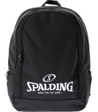 PLECAK SPALDING ESSENTIAL