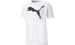 Puma Marškinėliai Vyrams Active Big Logo T White 586724 02