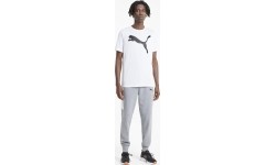 Puma Marškinėliai Vyrams Active Big Logo T White 586724 02