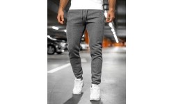 J.Style Kelnės Vyrams Grey 68XW01-5
